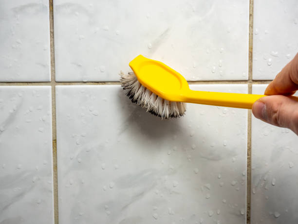 Best Black Mold Remediation in Running Springs, CA