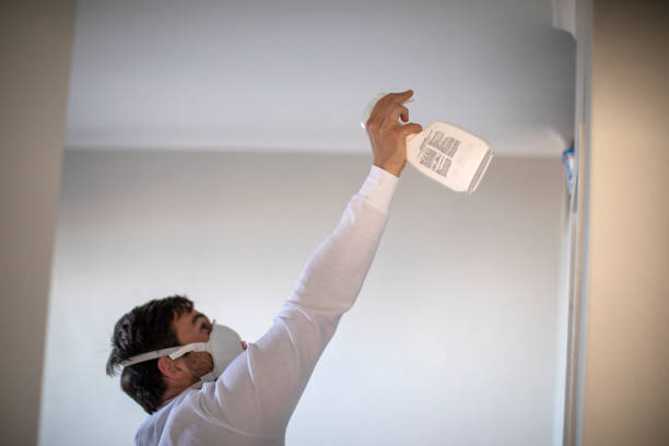 Trusted Running Springs, CA Mold Remediation Experts