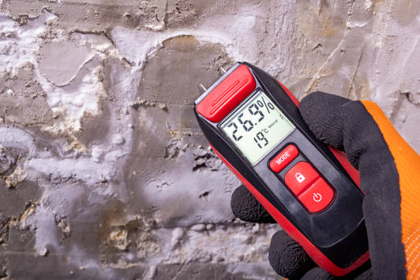 Trusted Running Springs, CA Mold Remediation Experts