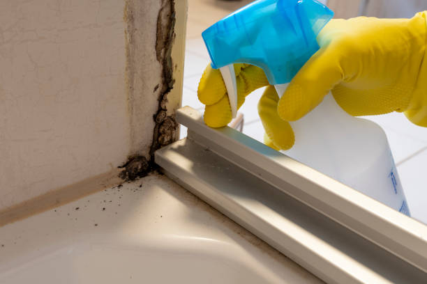 Best Mold Remediation for Specific Building Types in Running Springs, CA