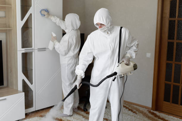 Best Post-Flood Mold Remediation in Running Springs, CA