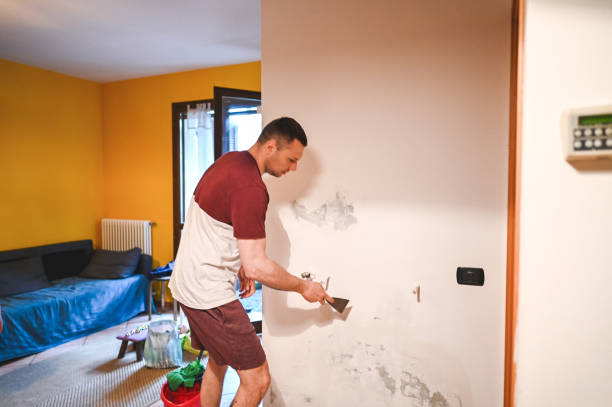 Best Post-Remediation Services in Running Springs, CA